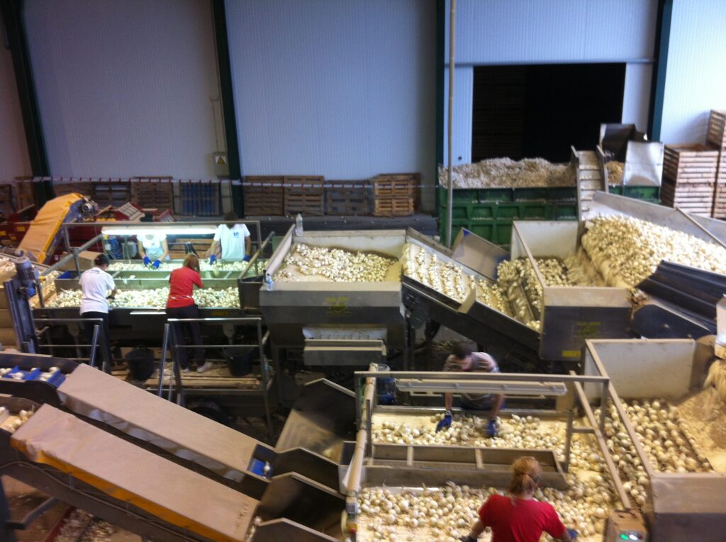 Instalaciones Hormoba