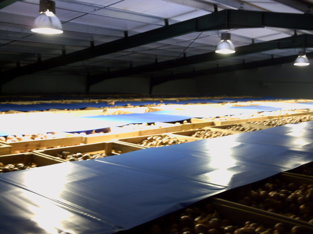 Instalaciones Hormoba