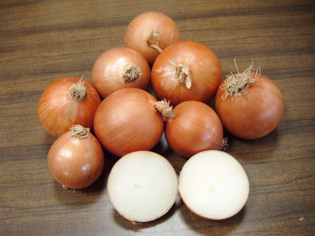 Cebolla Grano de oro Hormoba