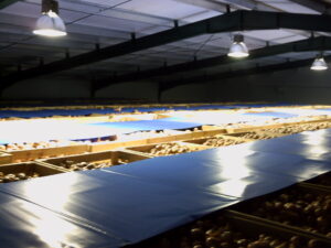 Instalaciones Hormoba