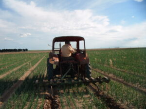 SAT Hormoba Agricultura vintage